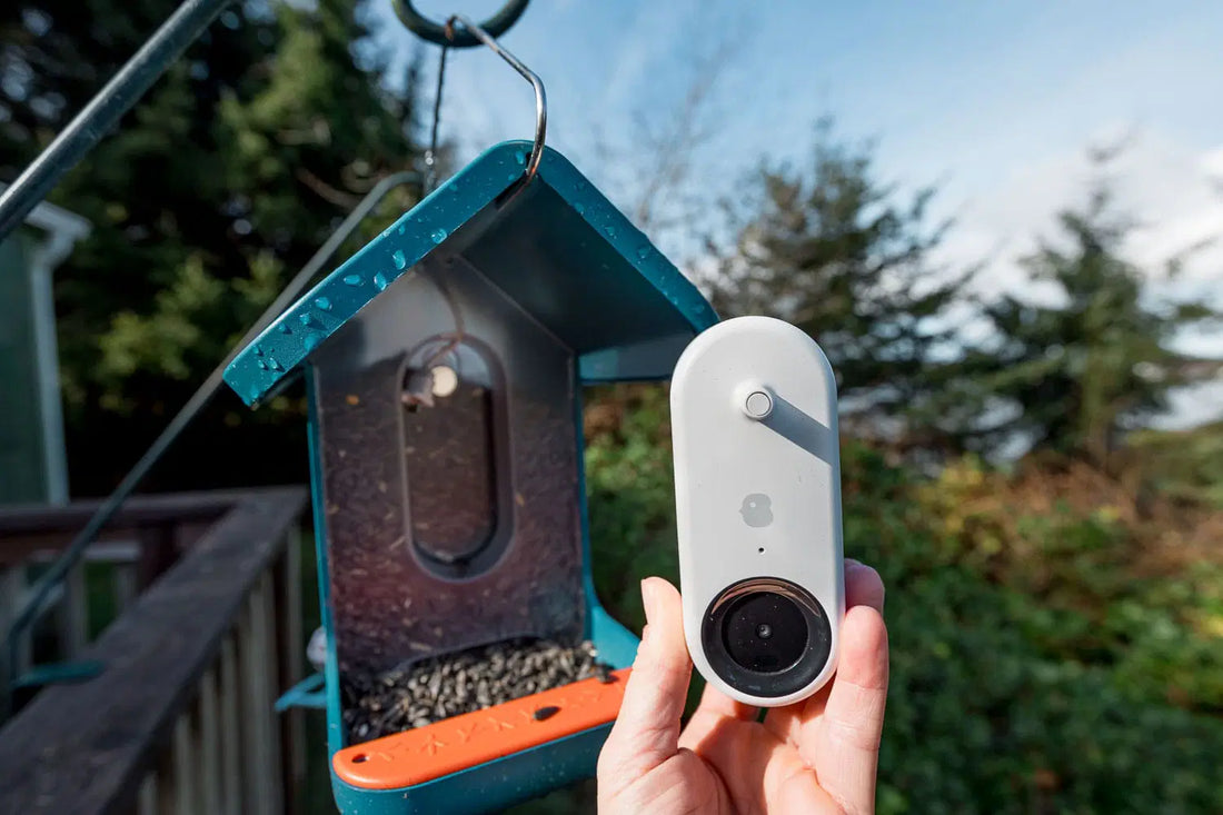 The Best Bird Feeder Cameras of 2025