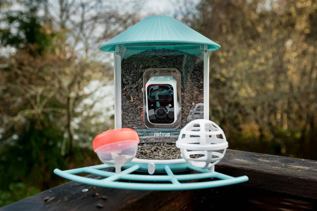 Netvue Birdfy Review: Our 6-Month Test and Verdict