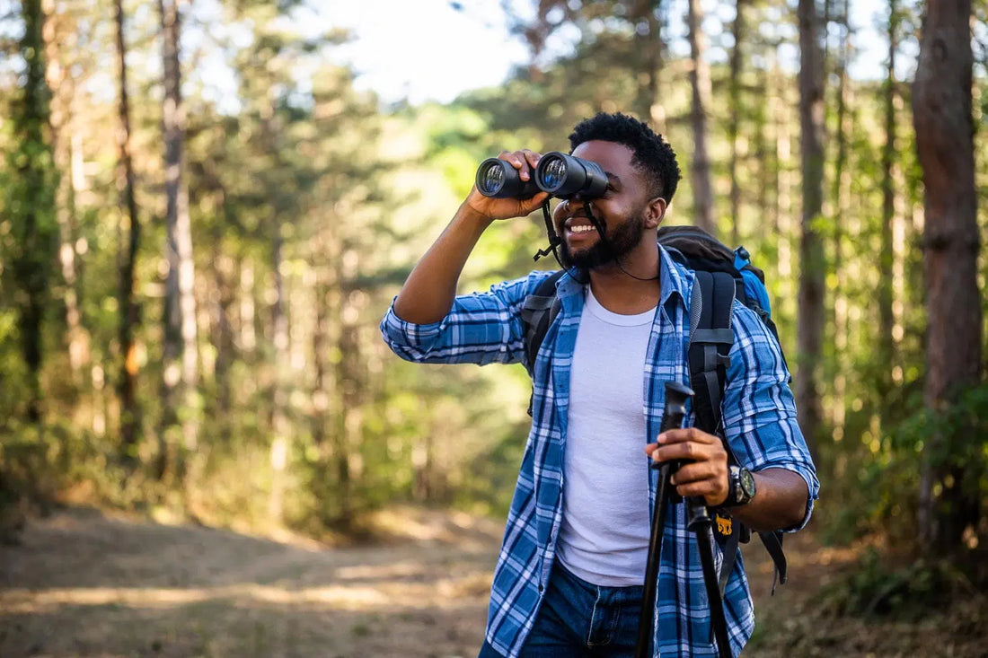 How to Build a Mindful Birdwatching Practice