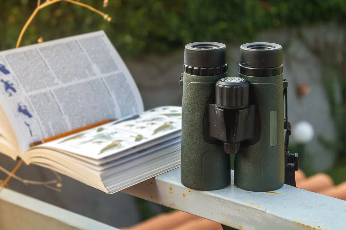 Best Binoculars for Birding (2025)