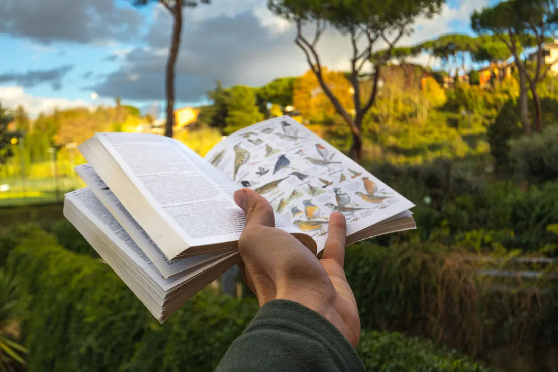 Understanding Field Guides: How to Read Bird Guides for Beginners
