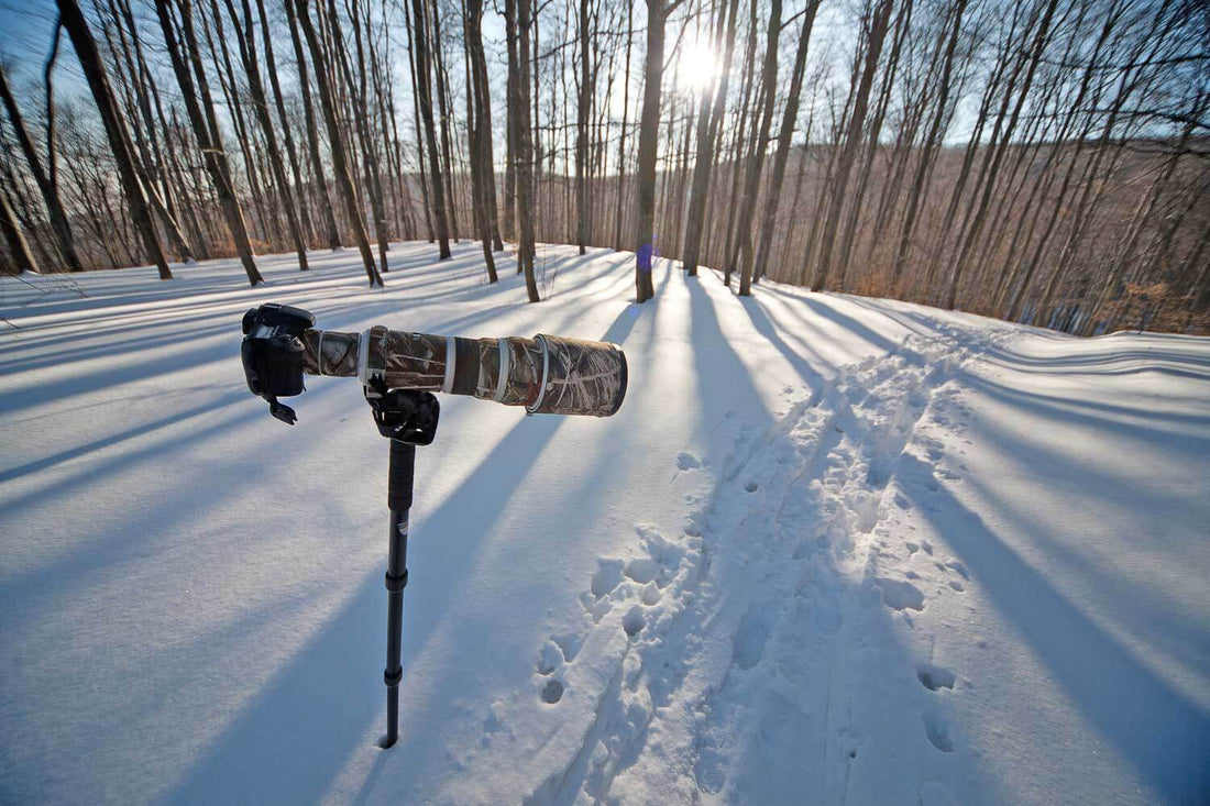 Best Monopod for Photography in 2025 (Plus How To Choose)