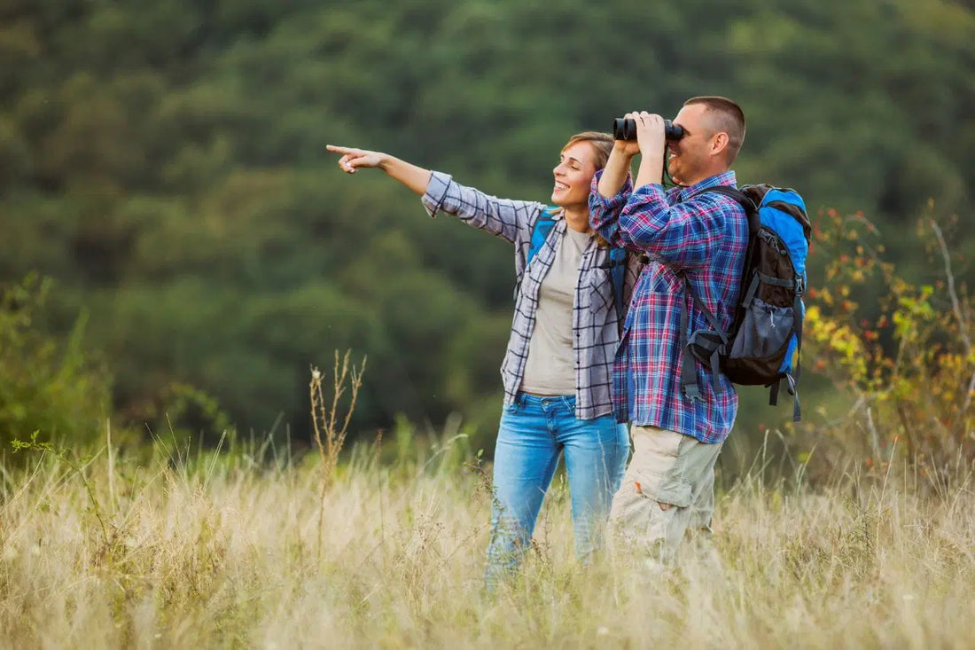 How to Plan and Prepare for a Birdwatching Trip