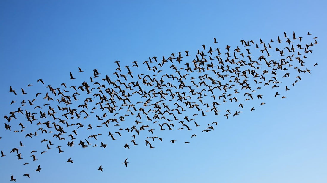 A flock of birds flying in a perfect V formation across a clear blue sky