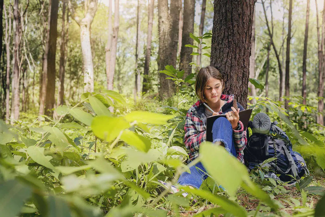 10 Ways Birdwatching Supports Mental Clarity