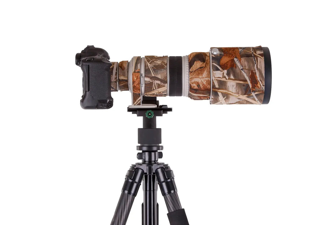 Best Lenses for Bird Photography (2025)