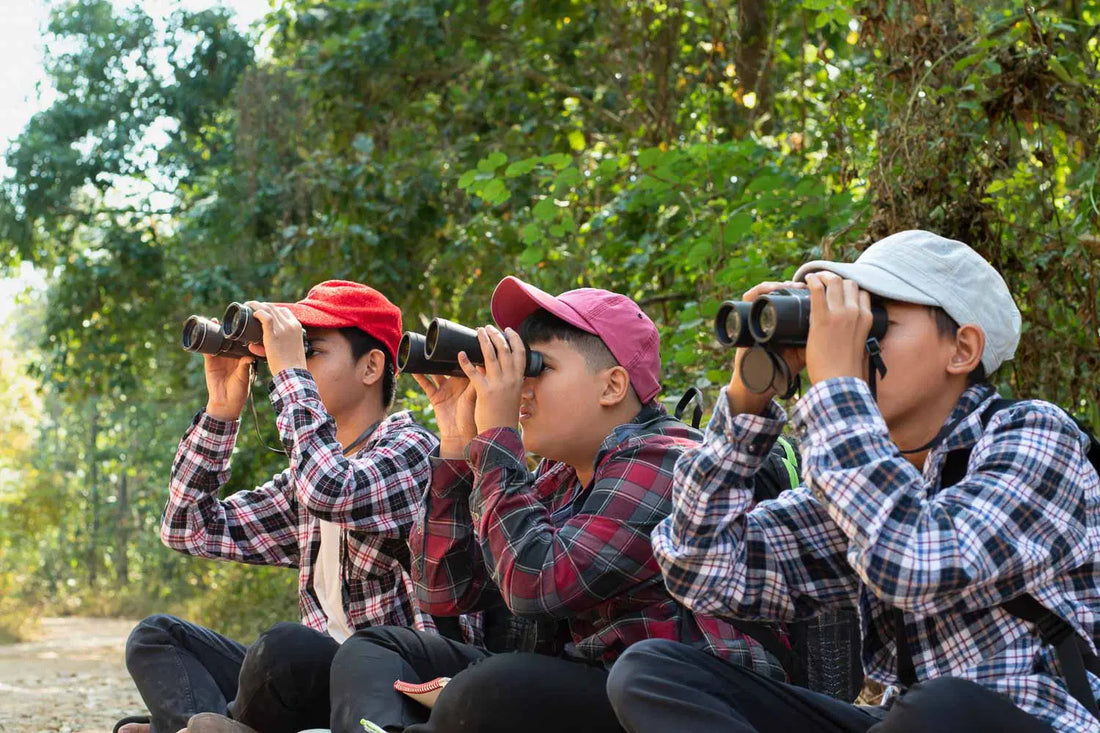 Best Budget Binoculars for Birding