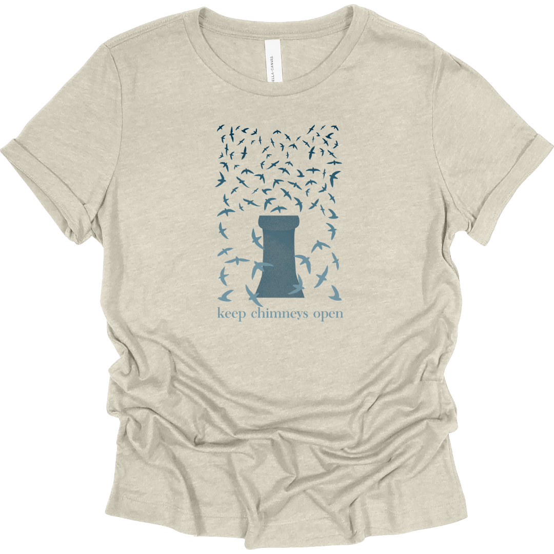 Chimney Swifts Women's T-Shirt