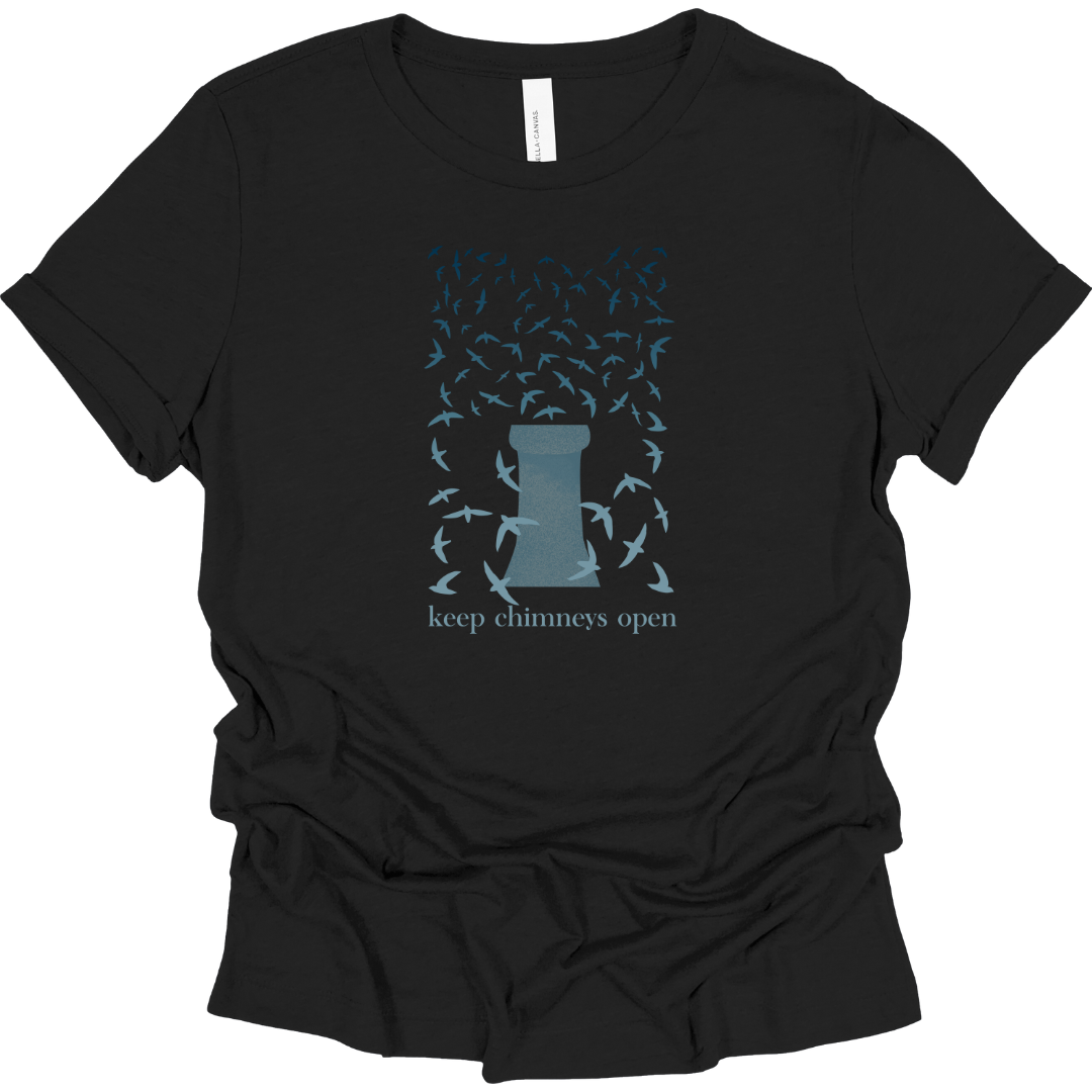 Chimney Swifts Women's T-Shirt