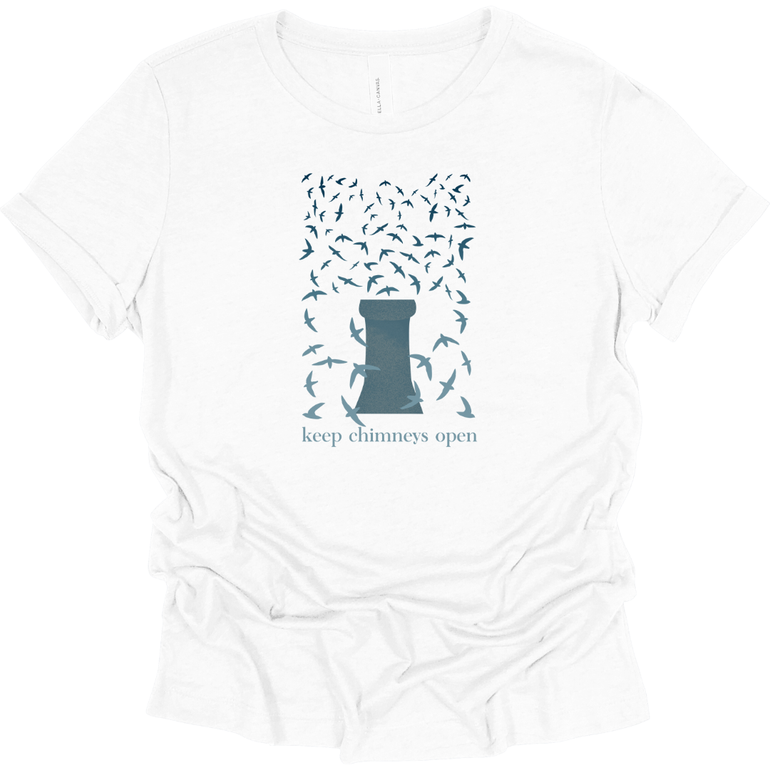 Chimney Swifts Women's T-Shirt