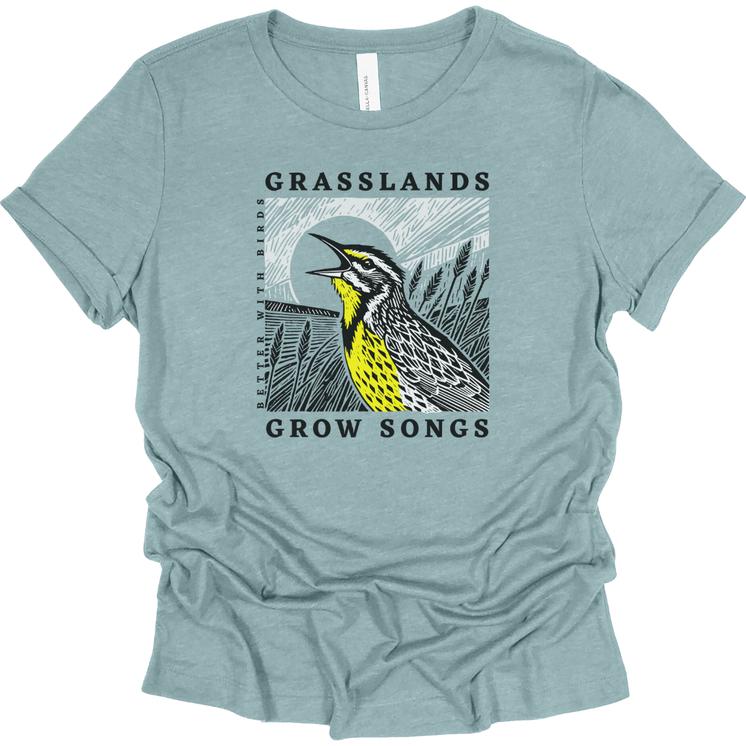 Grasslands Grow Songs Women's T-Shirt (Image 4 of 4) | Better With Birds