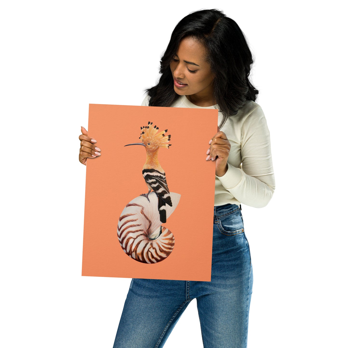 Hoopoe & Nautilus Matte Poster