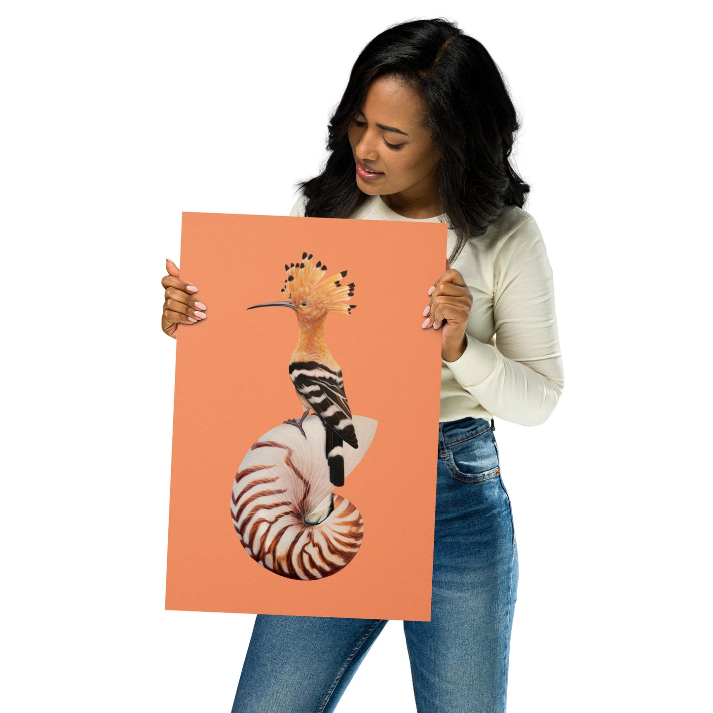 Hoopoe & Nautilus Matte Poster