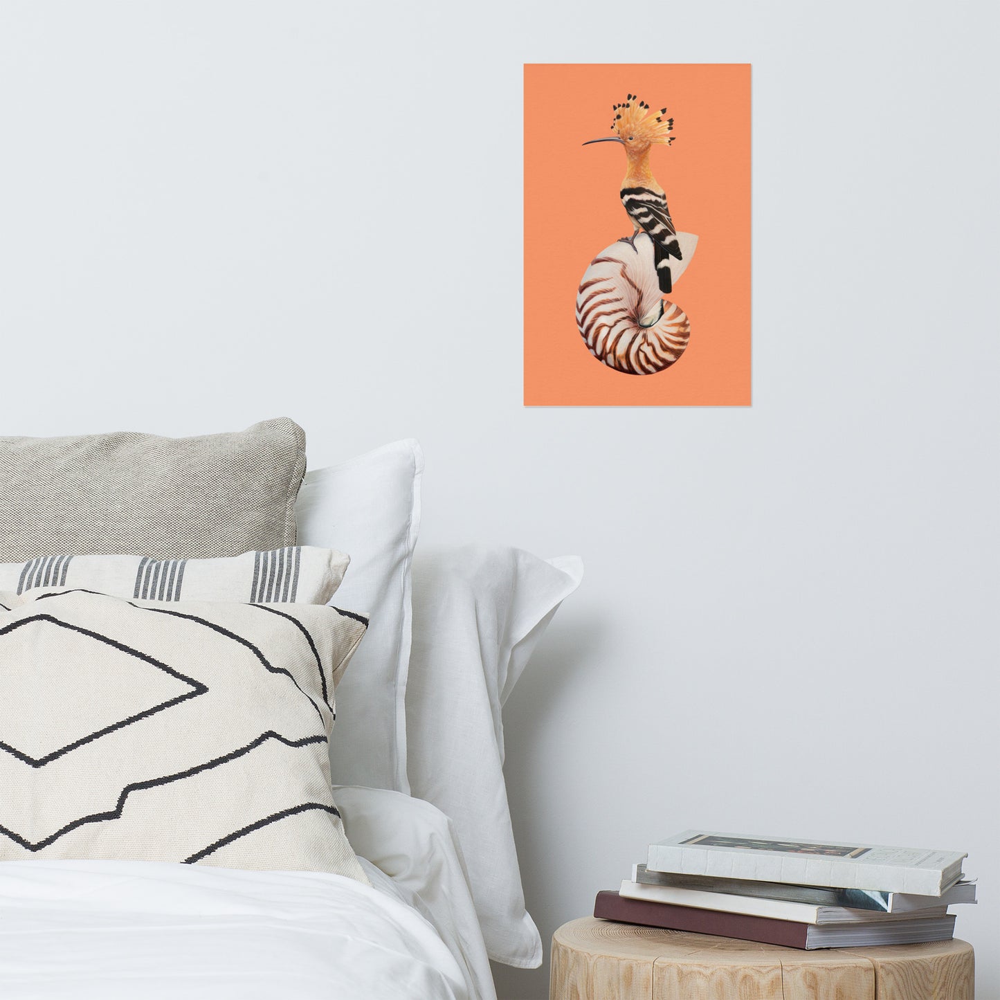 Hoopoe & Nautilus Matte Poster