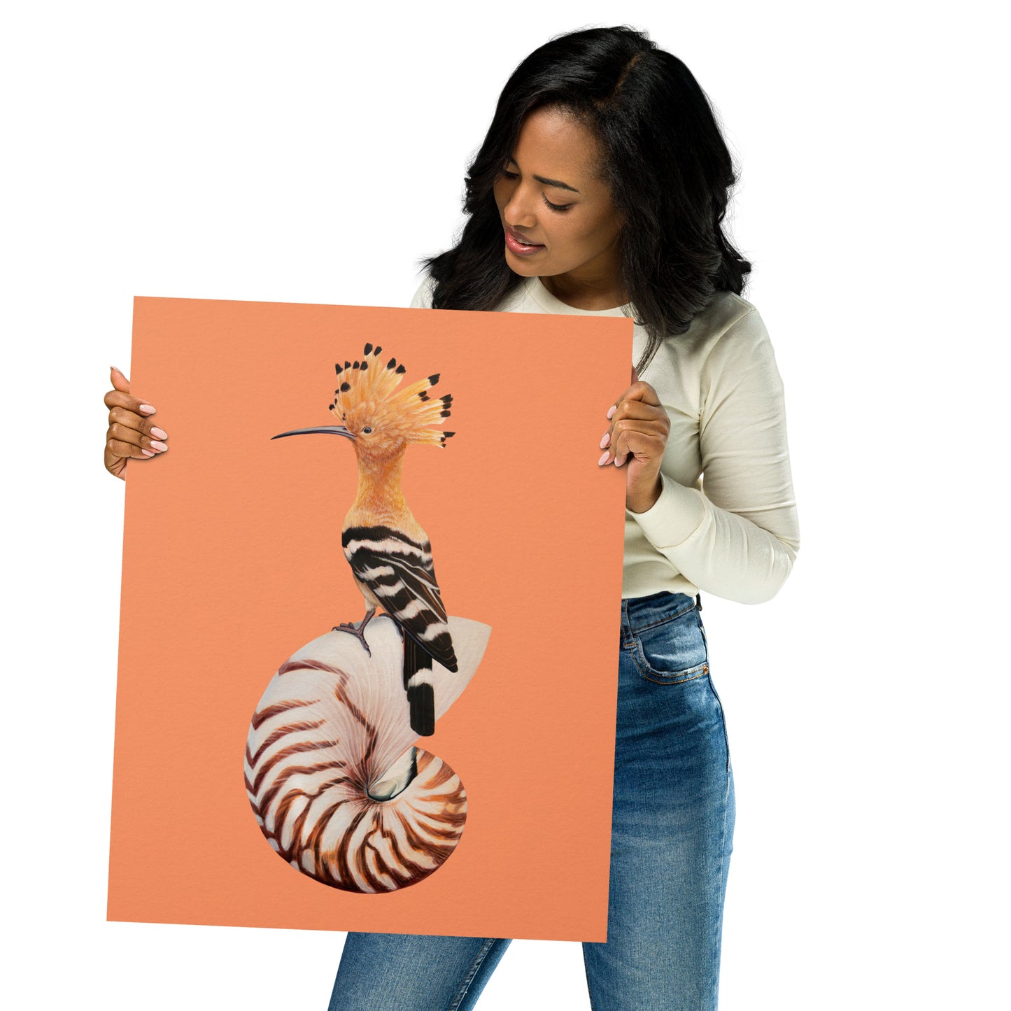 Hoopoe & Nautilus Matte Poster