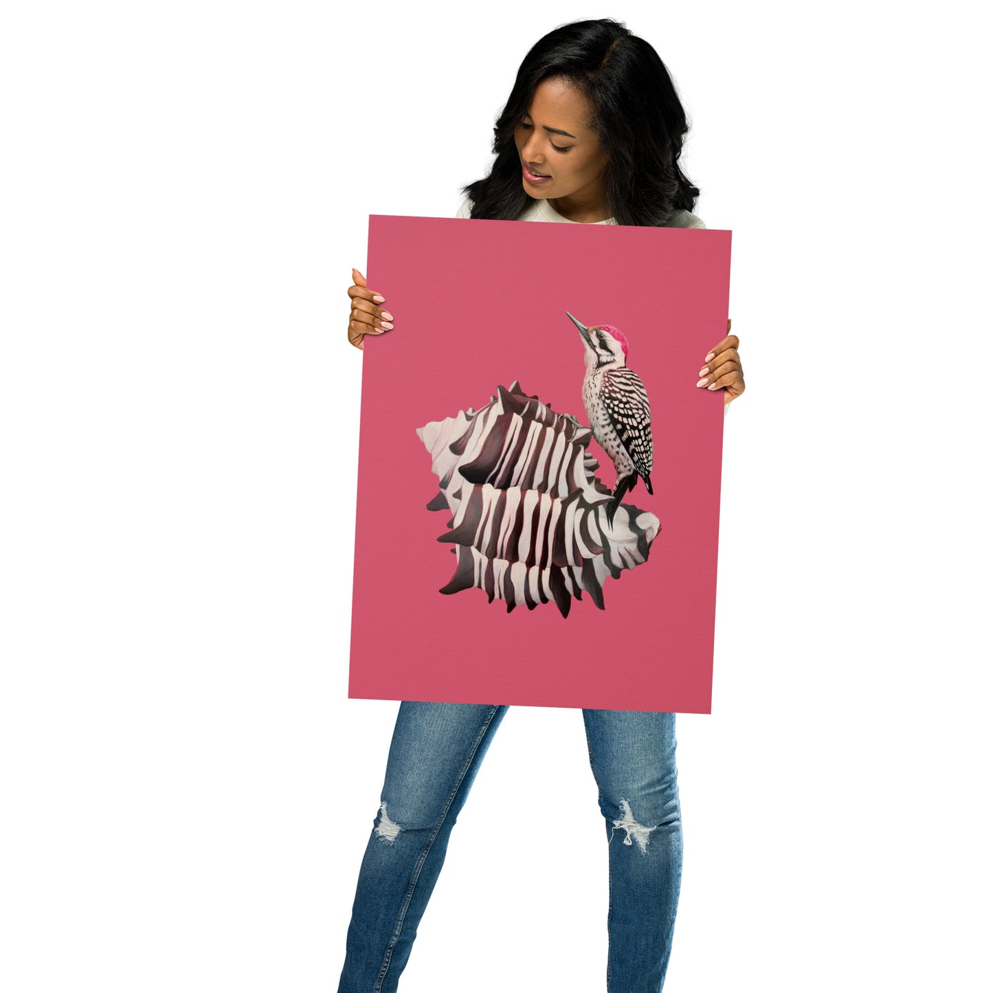 Woodpecker & Murex Matte Poster