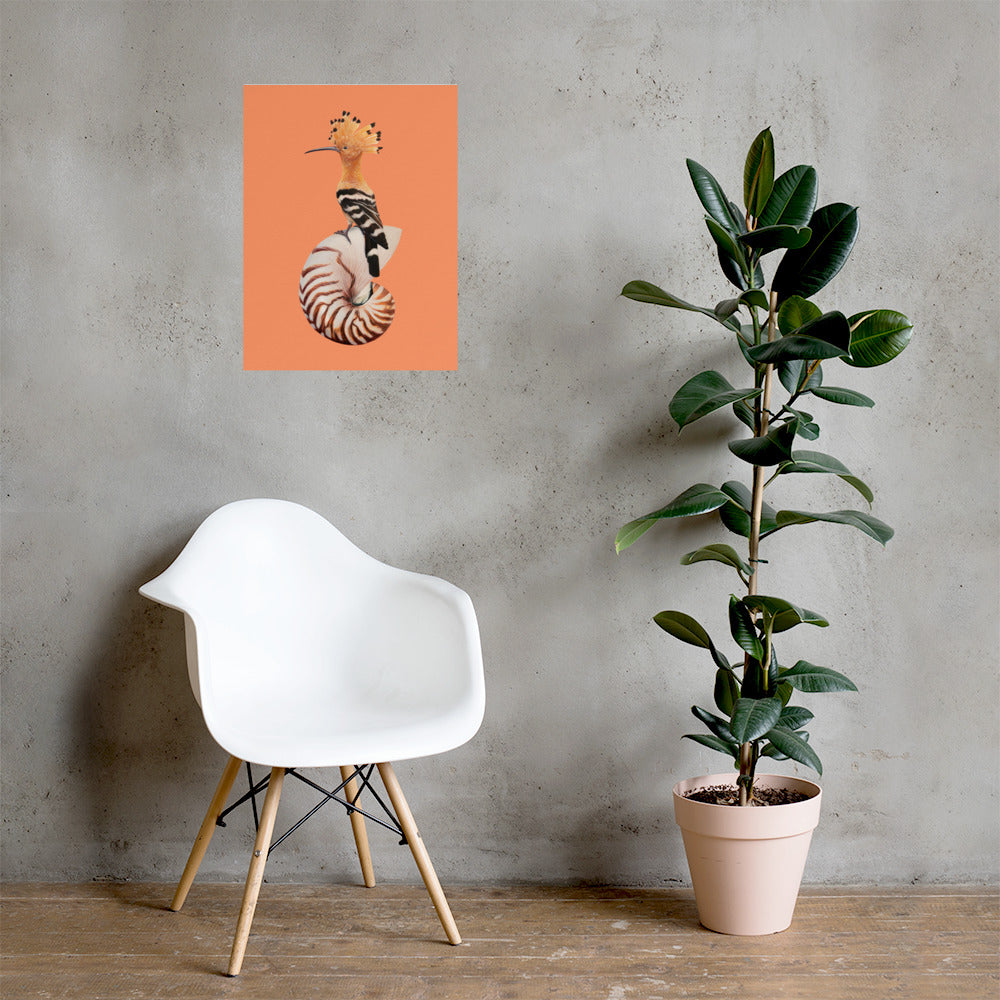 Hoopoe & Nautilus Matte Poster