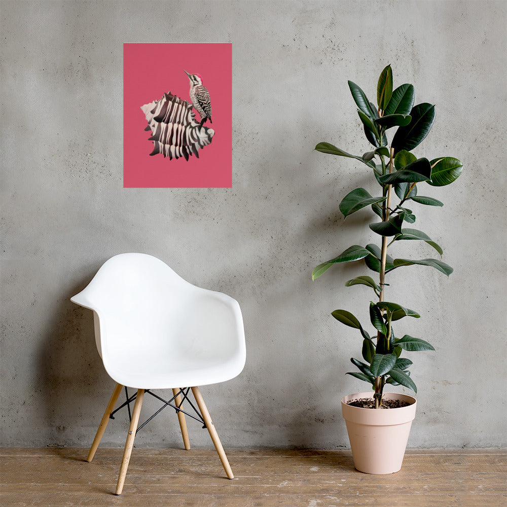 Woodpecker & Murex Matte Poster