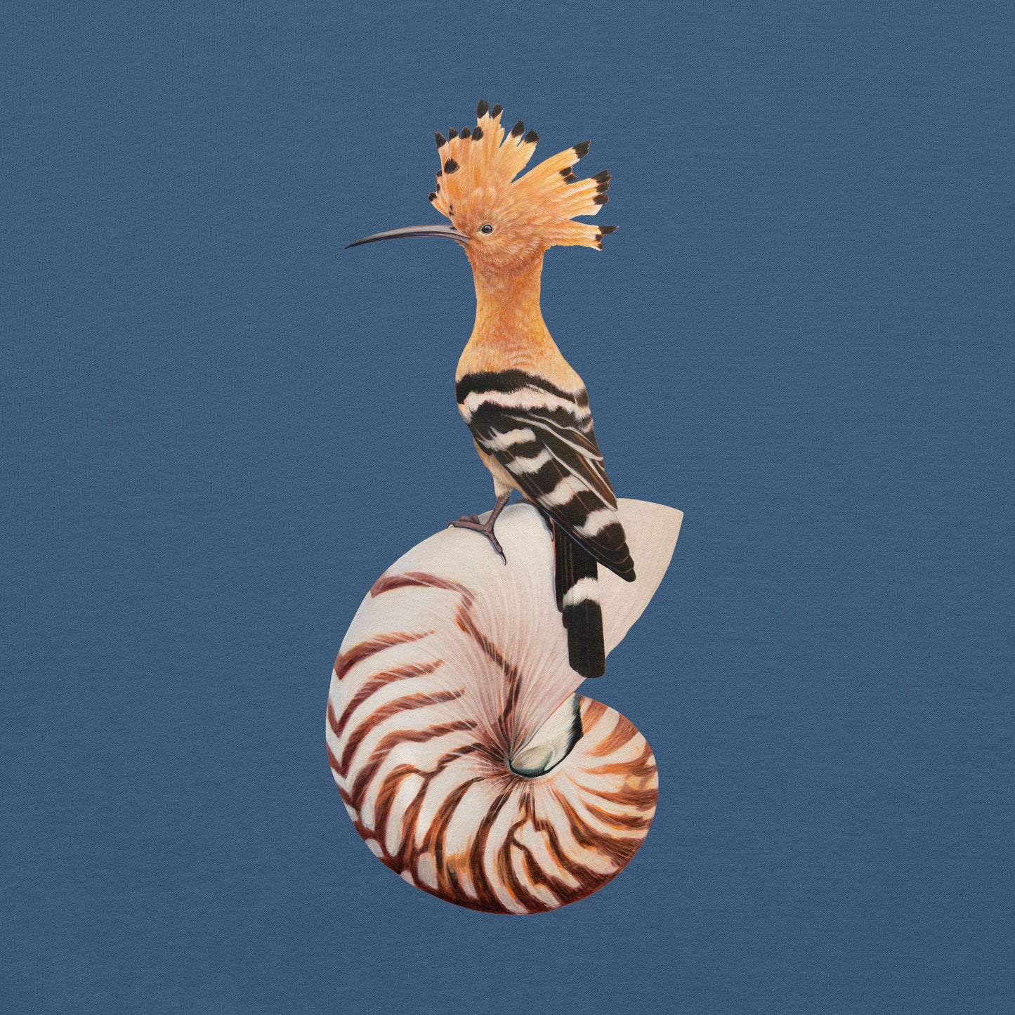 Hoopoe & Nautilus Unisex Hoodie