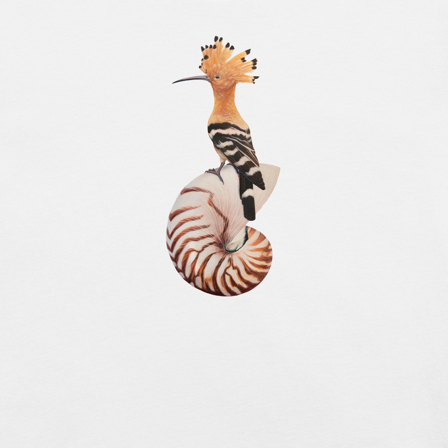 Hoopoe on Nautilus T-Shirt (Lightweight)