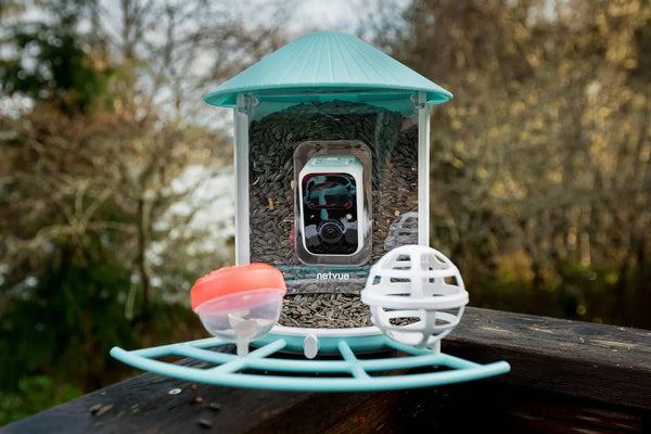 Netvue Birdfy Review: Our 6-Month Test and Verdict