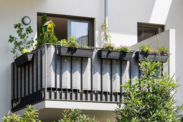 Balcony Birdwatching: How to Transform Tiny Spaces into Bird Havens