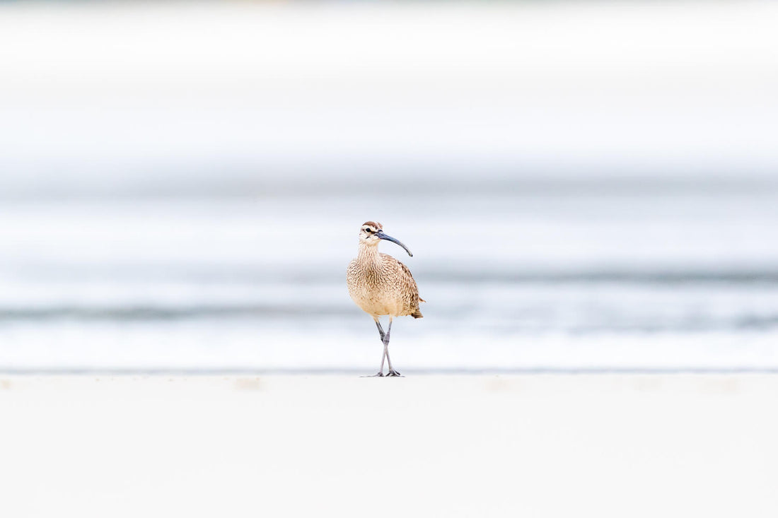 7 Best Ways to Sell Nature Photos Online (2025)