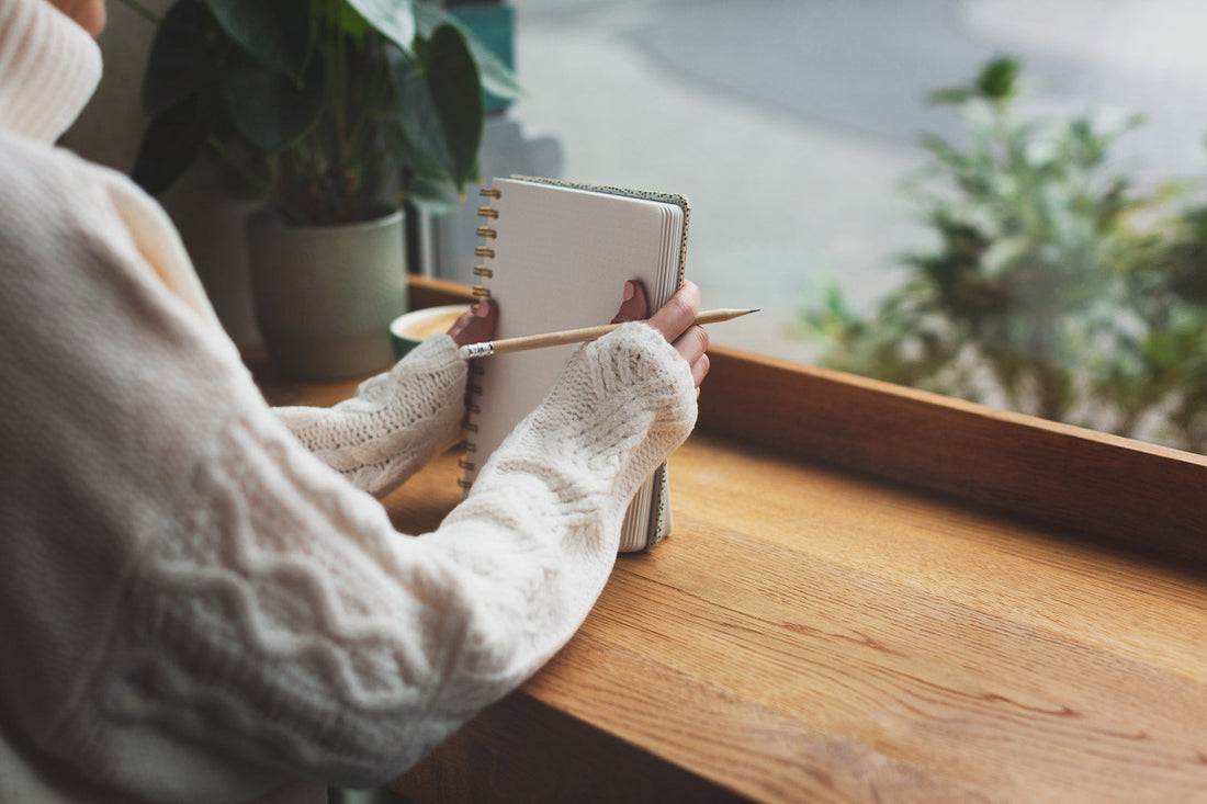 Bird Journaling Indoors: What to Note from a Window Watch