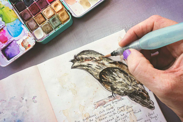 How to Start a Bird Journal: Tips for Beginner Birdwatchers
