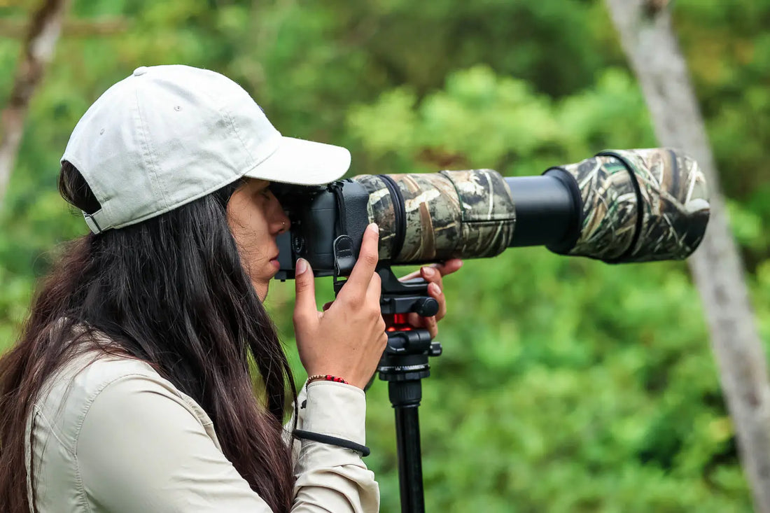 Best Cameras for Bird Photography (2025)