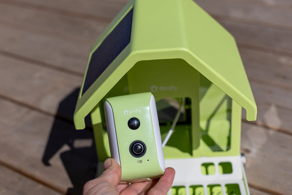 Netvue Bird Feeder Comparison: Birdfy Feeder Standard vs. Metal for Your Yard