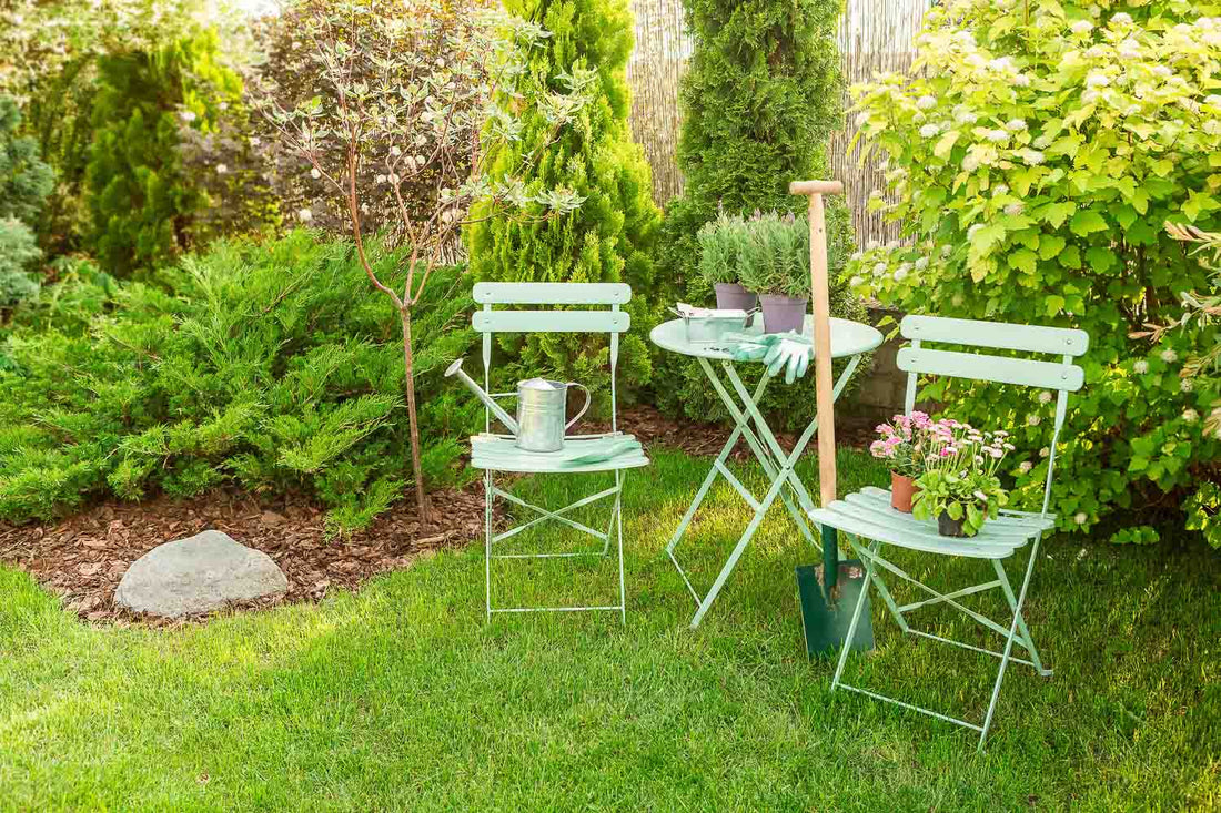 How to Design the Perfect Birdwatching Nook in Your Yard