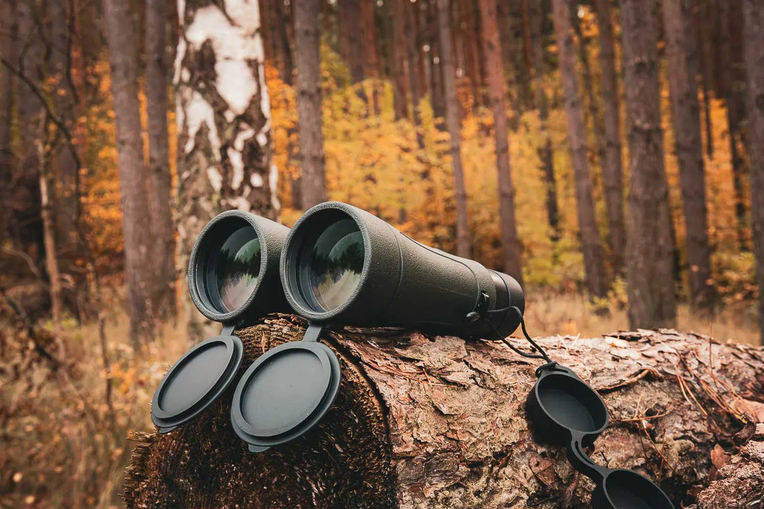 Best Top-of-the-Line Binoculars for Birding – Better With Birds