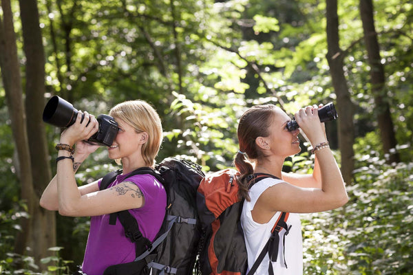 Gifts for Bird Lovers Who Already Have Binoculars