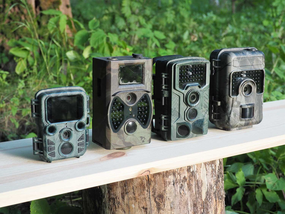 Best Trail Cameras for Wildlife Reviewed (2025)