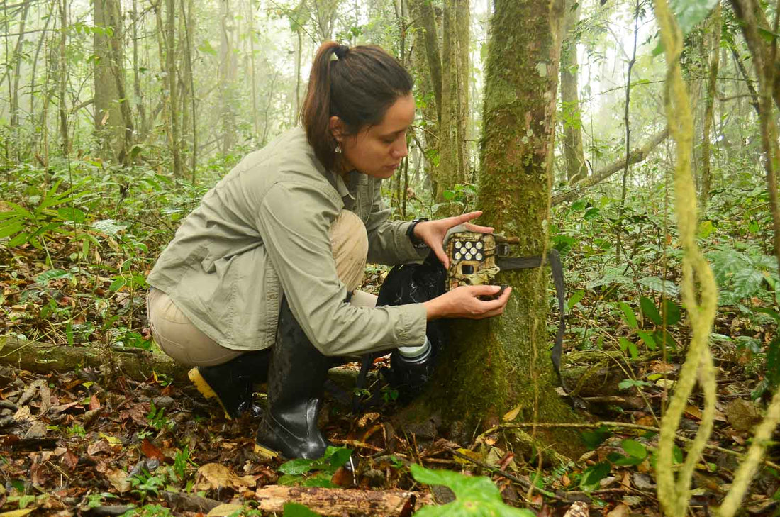 How to Aim Your Trail Camera for Best Wildlife Shots