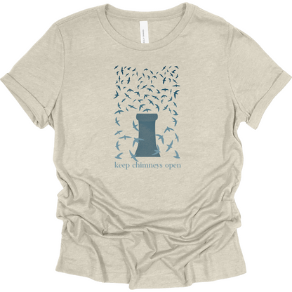 Chimney Swifts Women's T-Shirt