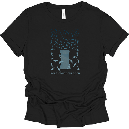 Chimney Swifts Women's T-Shirt