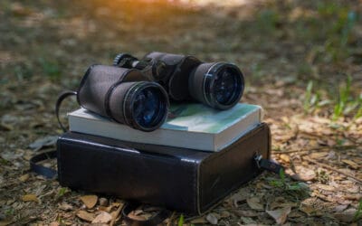 How to Choose Binoculars for Birding